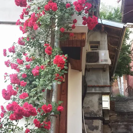 Diana 3* Veliko Tŭrnovo
