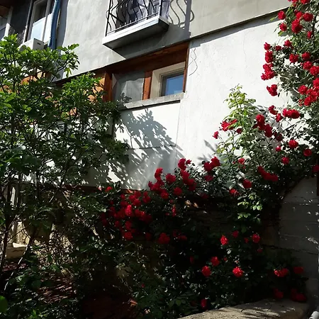 Diana Veliko Tŭrnovo